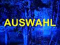 Auswahl
